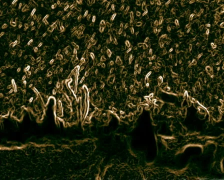 Alien Bacteria 库存影片 103809