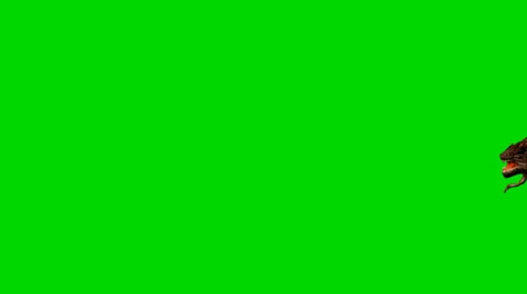 Alien Bug Creature walk by  - green screen footage Video stock 33635115