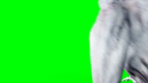 Alien crawling. Realistic motion and skin shaders. 4K green screen footage. Vidéo 82546940