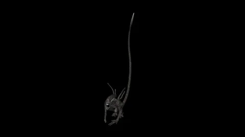 Alien Creature:  Alpha Channel + Looping Video stock 34828447