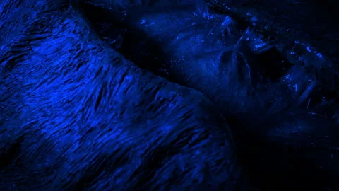Alien Creature Opens Up In Blue Light Stock Footage 219813343