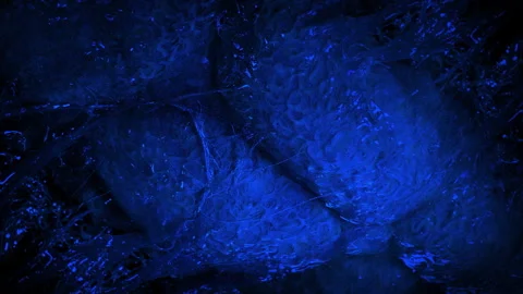 Alien Creature Opens Up Shell On Ceiling Video stock 278372702