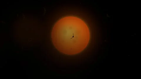 Alien creatures fly around orange planet in space. Video stock 343292227