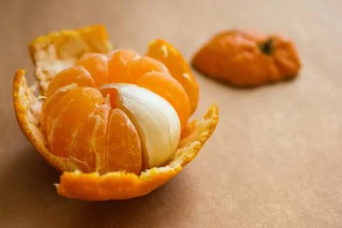 Alien, different, unlike. Stock Photos