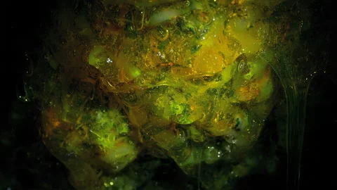 Alien Egg Lit Up With Torch Stock Footage 162773144