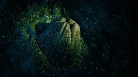 Alien Egg Pod Revealed In Torch Light Stock Footage 167135337