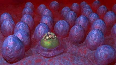Alien eggs in mist. Life form crawling out of egg. 3d animation Stock-Footage 95549631