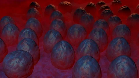 Alien eggs in mist. Pulsating , throbbing about to hatch. 3d animation Stock-Footage 95549614