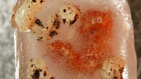 Alien embrion in ice cube Vídeo Stock 1045090