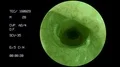Alien endoscope guts halloween paranormal science creature anal probe ufo 4k 4k or 4k+ Resolution
