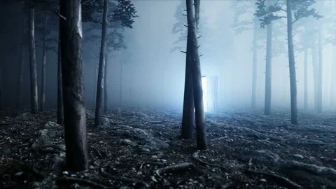 Alien in fog night forest. Light portal door. UFO concept. Realistic 4K Stock Footage 91083192