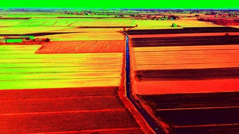 Alien footage Stock Footage 122445899