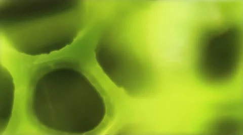 Alien Green Fusion 動画素材 22289956