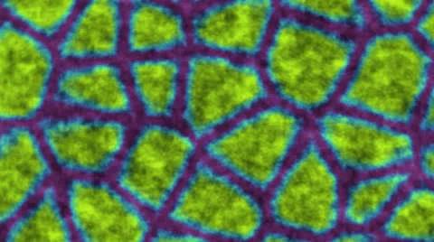 Alien Green Reptilian Stock Footage 26854446