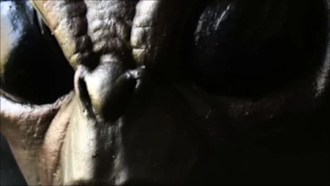 Alien Grey Closeup 스톡 동영상 90565664