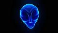 Alien grey head face creepy extraterrestrial gray martian creature ufo 4k 4k or 4k+ Resolution