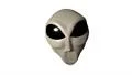 Alien grey head face creepy extraterrestrial gray martian creature ufo 4k 4k or 4k+ Resolution