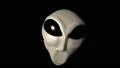 Alien grey head face creepy extraterrestrial gray martian creature ufo 4k 4k or 4k+ Resolution
