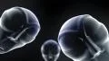 Alien grey heads faces creepy extraterrestrial gray abduction creature ufo 4k 4k or 4k+ Resolution