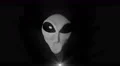 Alien grey hologram head face creepy extraterrestrial gray ufo 4k 4k or 4k+ Resolution