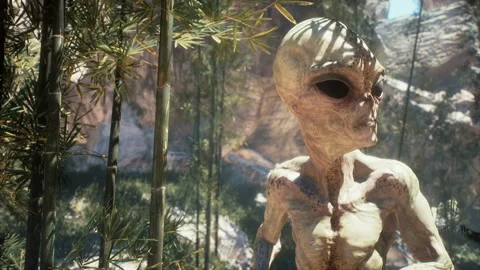 An alien on his home planet, resting and relaxing in a green rainforest. The Stock Footage 165232543