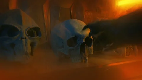 Alien Hunter Puts Down Human Skull In Trophy Display Stock Footage 337834849