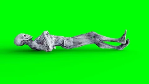Alien idle. Realistic motion and skin shaders. 4K green screen footage. Stock Footage 82546635
