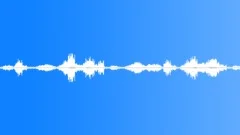 Alien Insects 1 fast buzzSound Effect