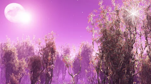 Alien land Stock Footage 33042418