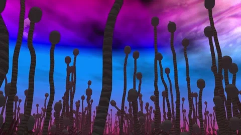 Alien land Stock Footage 306109865