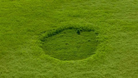 Alien landing site appearing across vibrant rural grassland. Drone perspective Vidéo 339342803