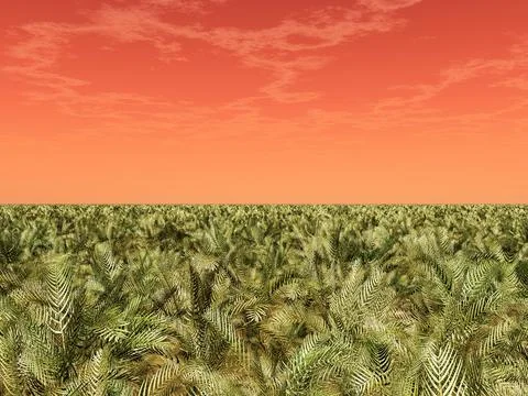 Alien landscape with plants Stock Illustration