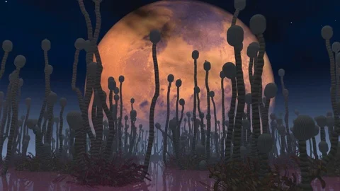 Alien lifeform  Stock Footage 70911824