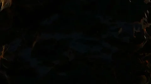 Alien Liquid Background Stock After Effects