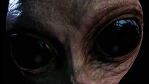 Alien looks into camera Stock Footage 211417952