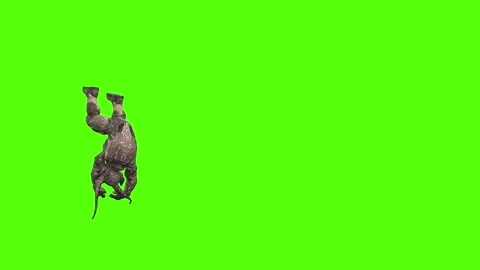 Alien Monster Dodge Backward Green Screen Animation 4K Rendering Stock Footage 264795829