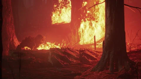 The alien monster gets scared and walks back 02 Stock Footage 231586385