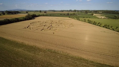 Alien mysterious crop circle plot theory people discovering mythical Vídeos de archivo 128049618