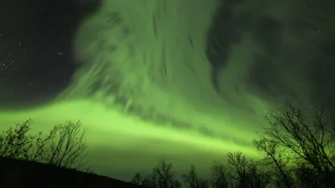 Alien Northern Lights over the trees Stock Footage 250294475