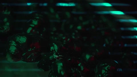 Alien organisms inside a spaceship Stock Footage 168561937
