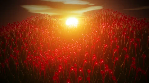 Alien plant flower bulbs hill sunset glow 3d seamless loop Stock Footage 218399264