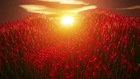 Alien plant hill sunset glow 3d seamless loop 動画素材 201733097