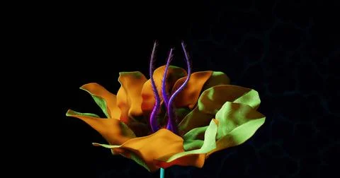 Alien Rainbow Flowers Close View 3D Render Stock Illustration