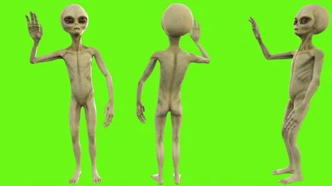 Alien salute on green screen Stock Illustration