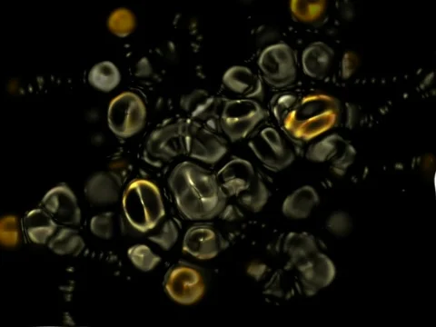 Alien Skin Stock Footage 489786