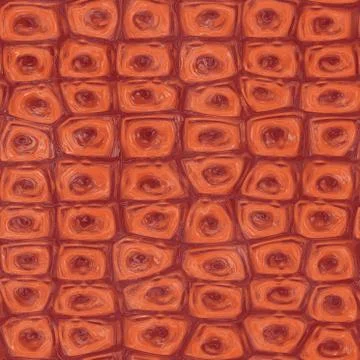 Like a alien skin Stock Photos
