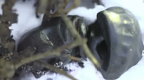 Alien in snow. C.U. Video stock 10817467