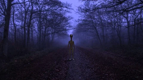 Alien Stands on Path Stock-Footage 81513662