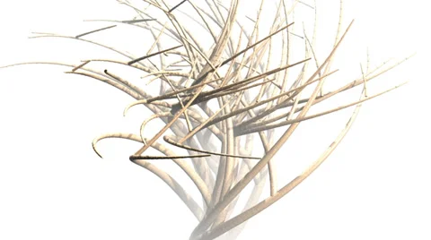 Alien structure animation Stock Footage 35317732