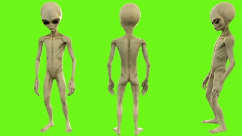 Alien telling a secret. Loopable animation on green screen. 4k. Stock Footage 87101721